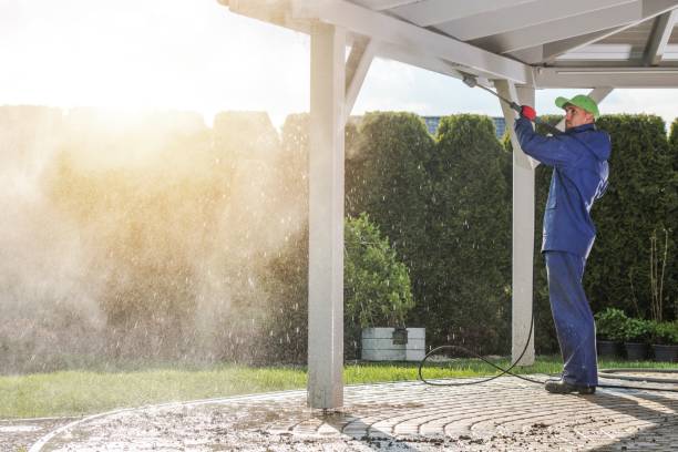 Best House Exterior Washing  in Gonzales, CA
